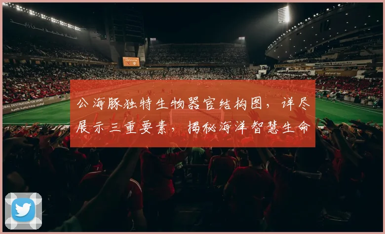 公海豚独特生物器官结构图，详尽展示三重要素，揭秘海洋智慧生命之美