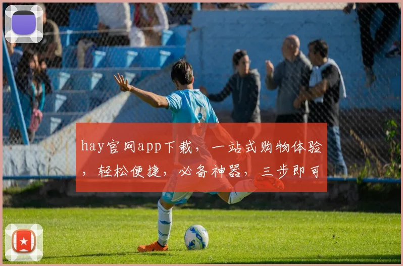 hay官网app下载，一站式购物体验，轻松便捷，必备神器，三步即可拥有