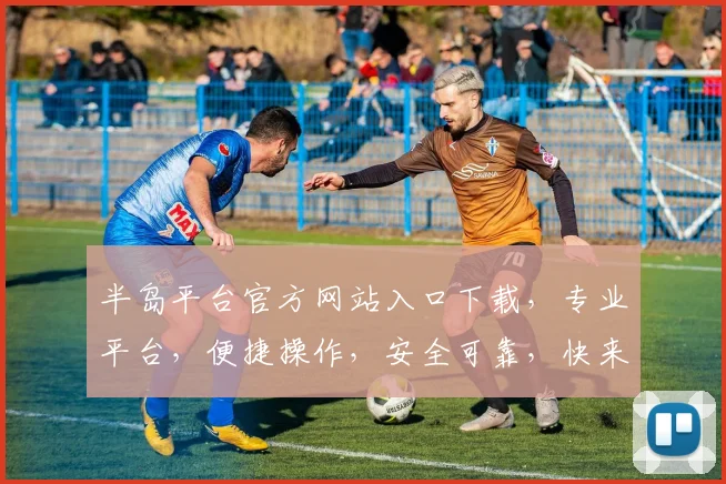 半岛平台官方网站入口下载，专业平台，便捷操作，安全可靠，快来体验