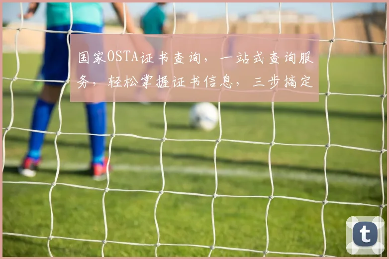 国家OSTA证书查询，一站式查询服务，轻松掌握证书信息，三步搞定